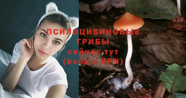 стафф Алексеевка