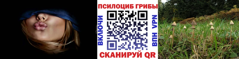 Галлюциногенные грибы Magic Shrooms  что такое   Димитровград 