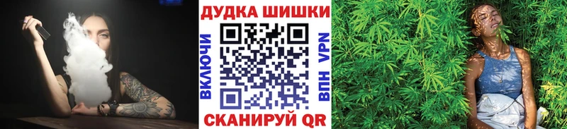 купить закладку  Димитровград  Конопля семена 